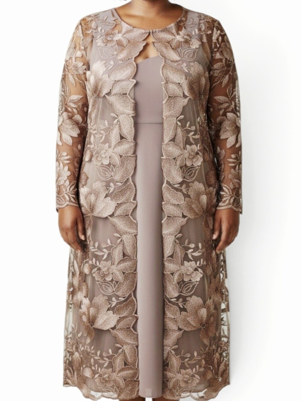 Alex Evenings  Embroidered Lace Long Sleeve Midi Dress